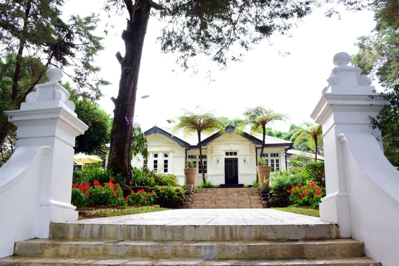 Mirage Kings Hotel 4*
